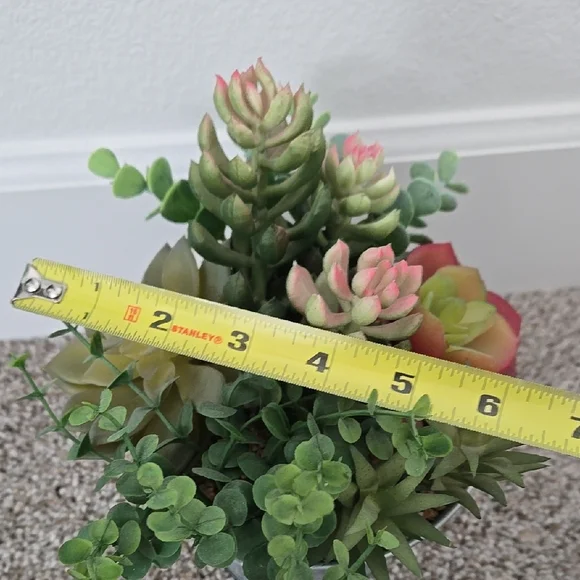 Succulent Arrangement in Gray Metal Pot - Picture 9 of 9